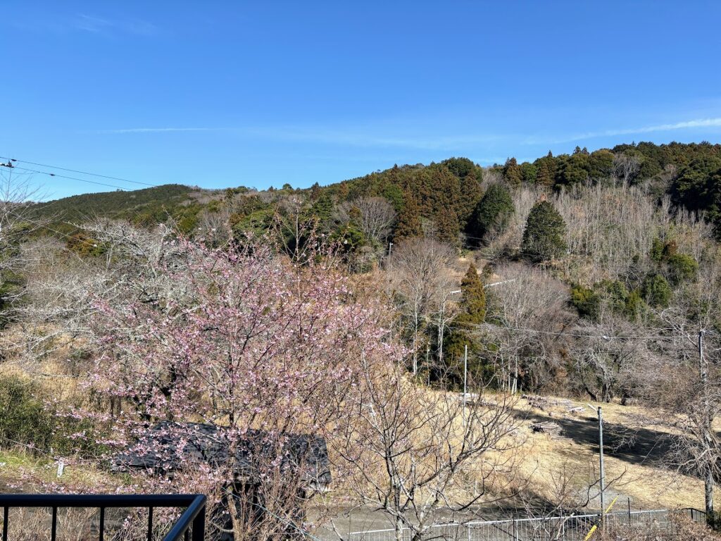 IMG_6210-1024x768 畑の見回りを兼ね、太郎と散歩