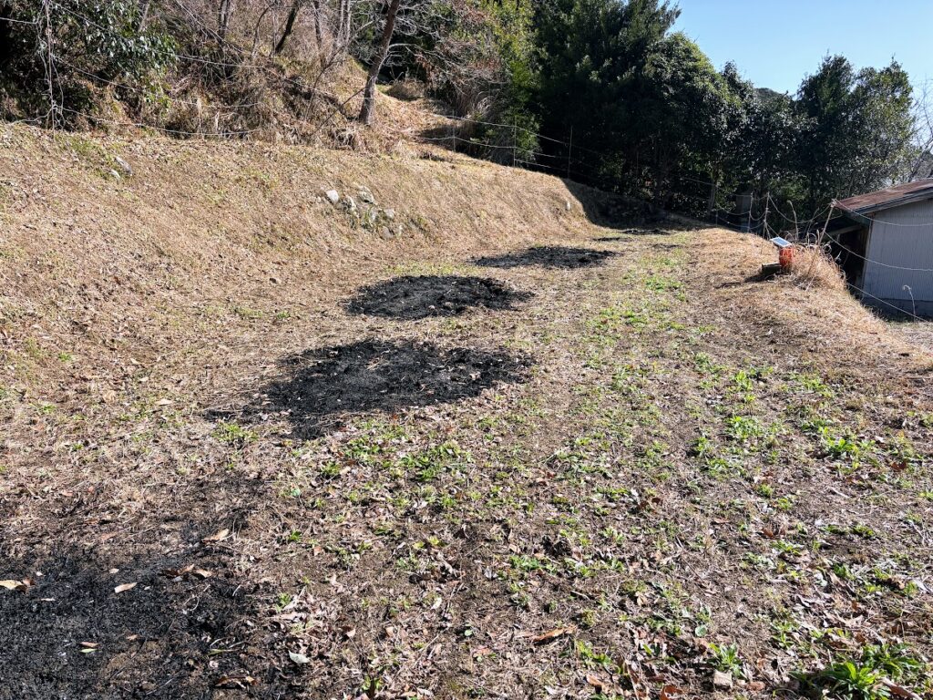 IMG_6212-1024x768 畑の見回りを兼ね、太郎と散歩