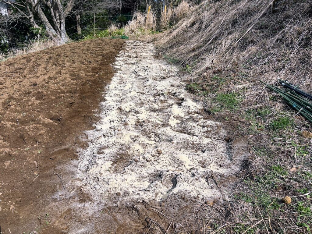 IMG_6247-1024x768 畑の見回りを兼ね、太郎と散歩