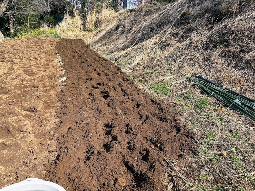 IMG_6256-1024x768 畑の見回りを兼ね、太郎と散歩