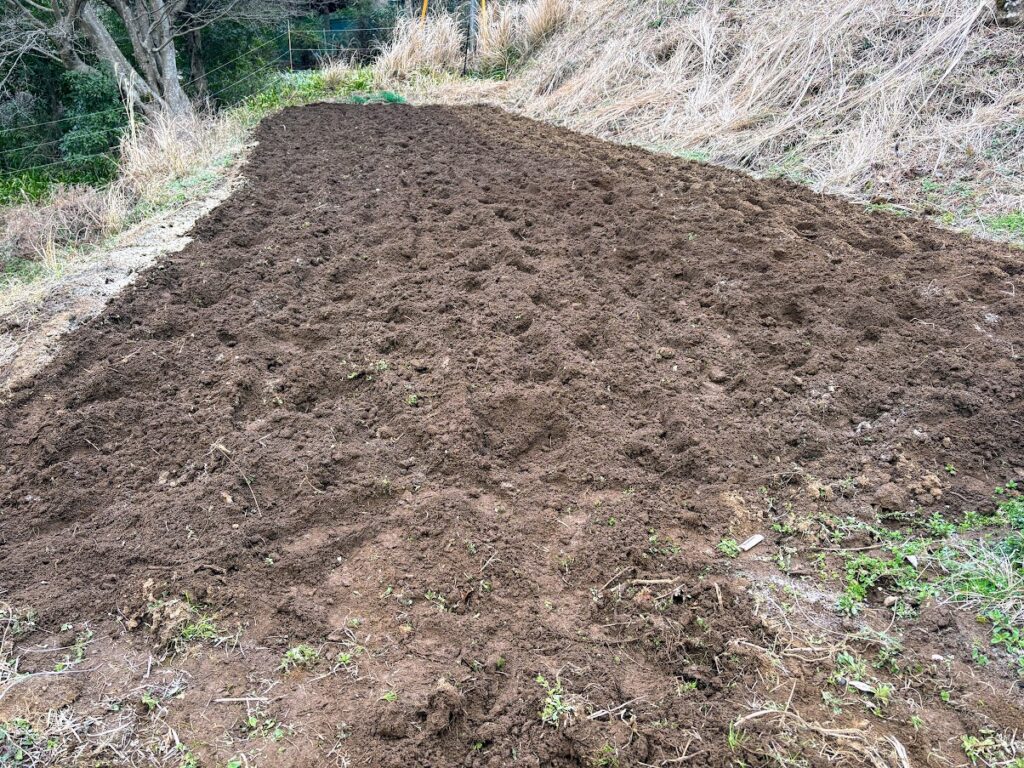 IMG_6259-1024x768 畑の見回りを兼ね、太郎と散歩