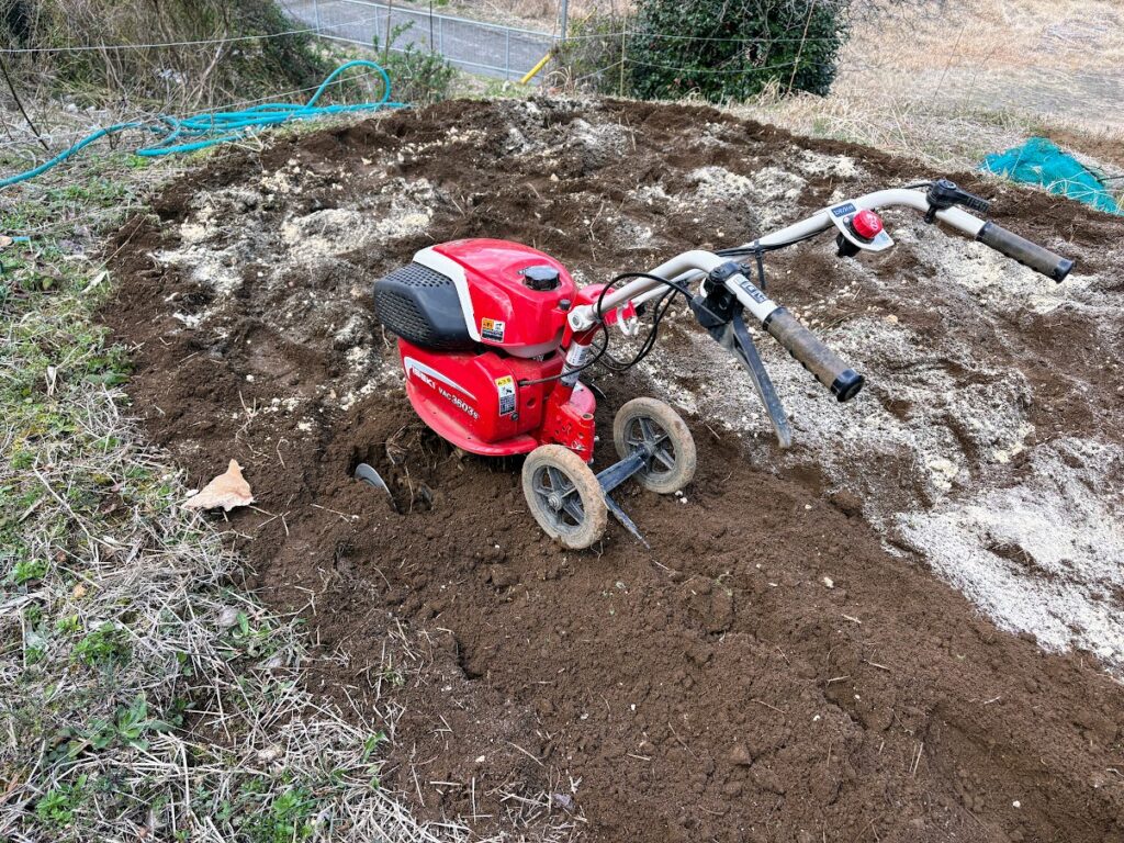 IMG_6269-1024x768 おい、中国よ!頑張ってくれ!