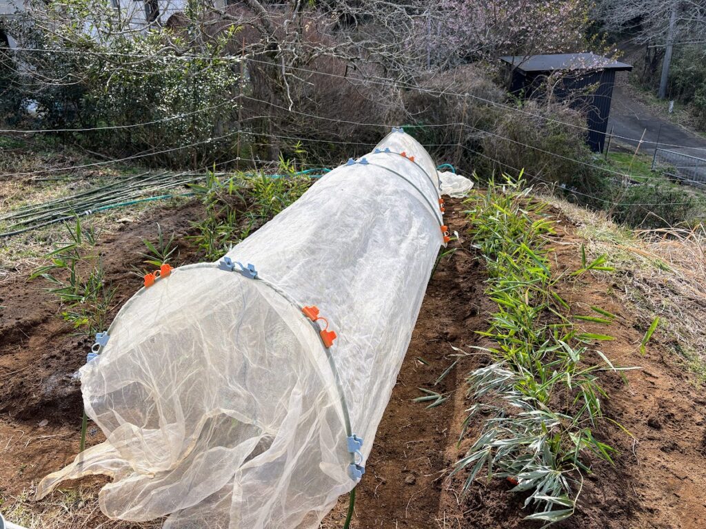 IMG_6272-1024x768 おい、中国よ!頑張ってくれ!