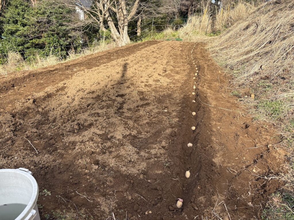 IMG_6275-1024x768 おい、中国よ!頑張ってくれ!