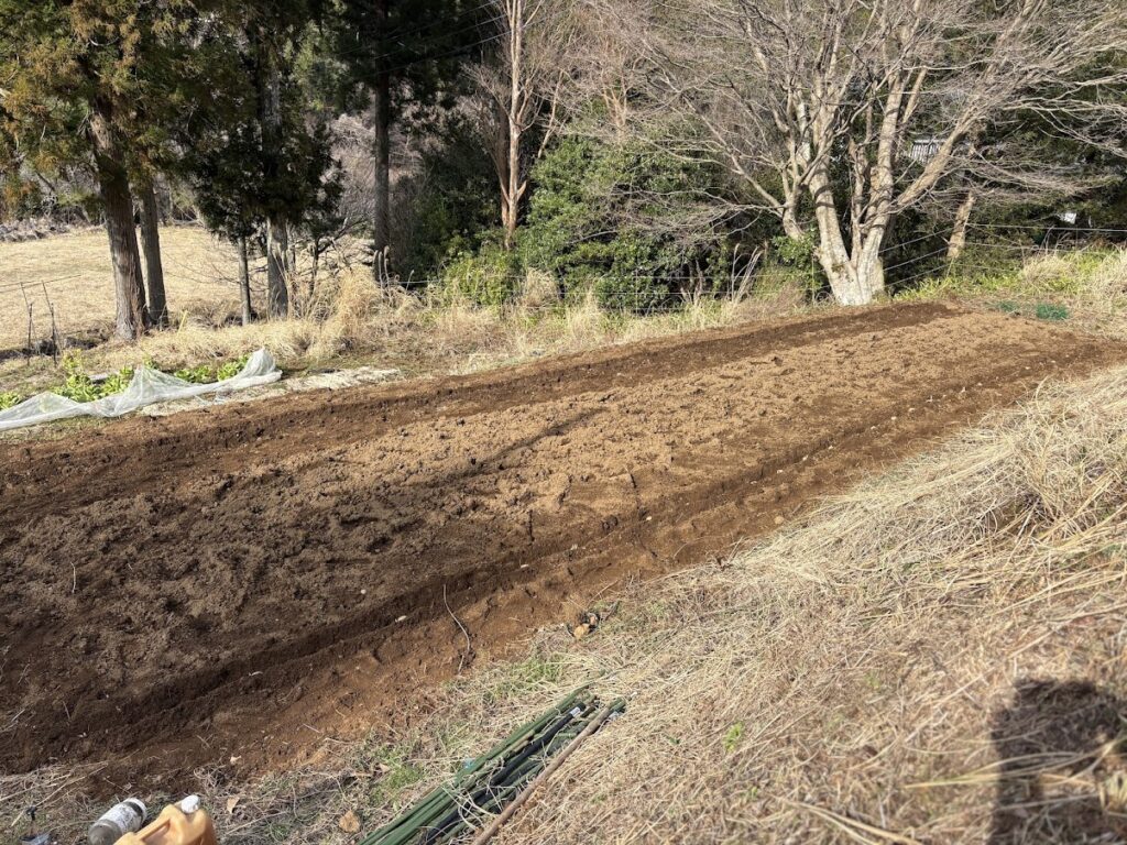 IMG_6276-1024x768 おい、中国よ!頑張ってくれ!