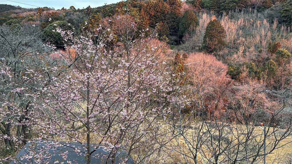 IMG_6312-1024x576 今日も午後から野良仕事