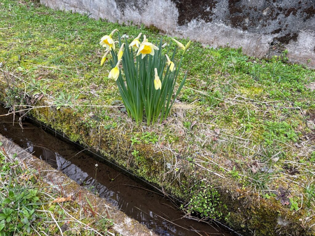 IMG_6333-1024x768 本日、無事に修善寺ベースへ戻った