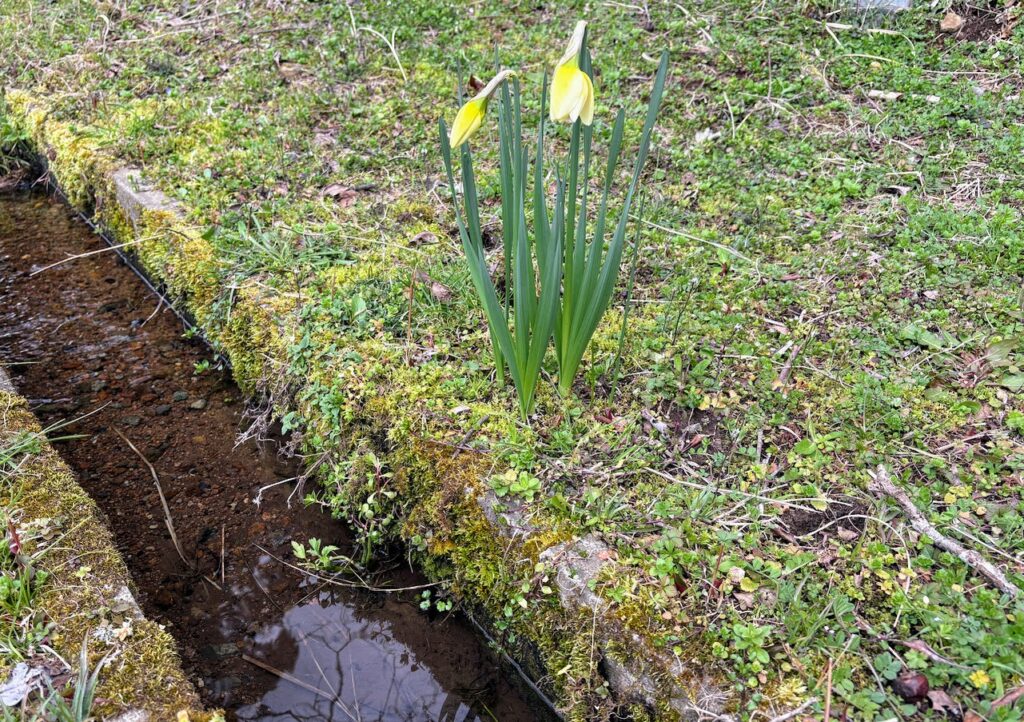 IMG_6335-1024x722 本日、無事に修善寺ベースへ戻った