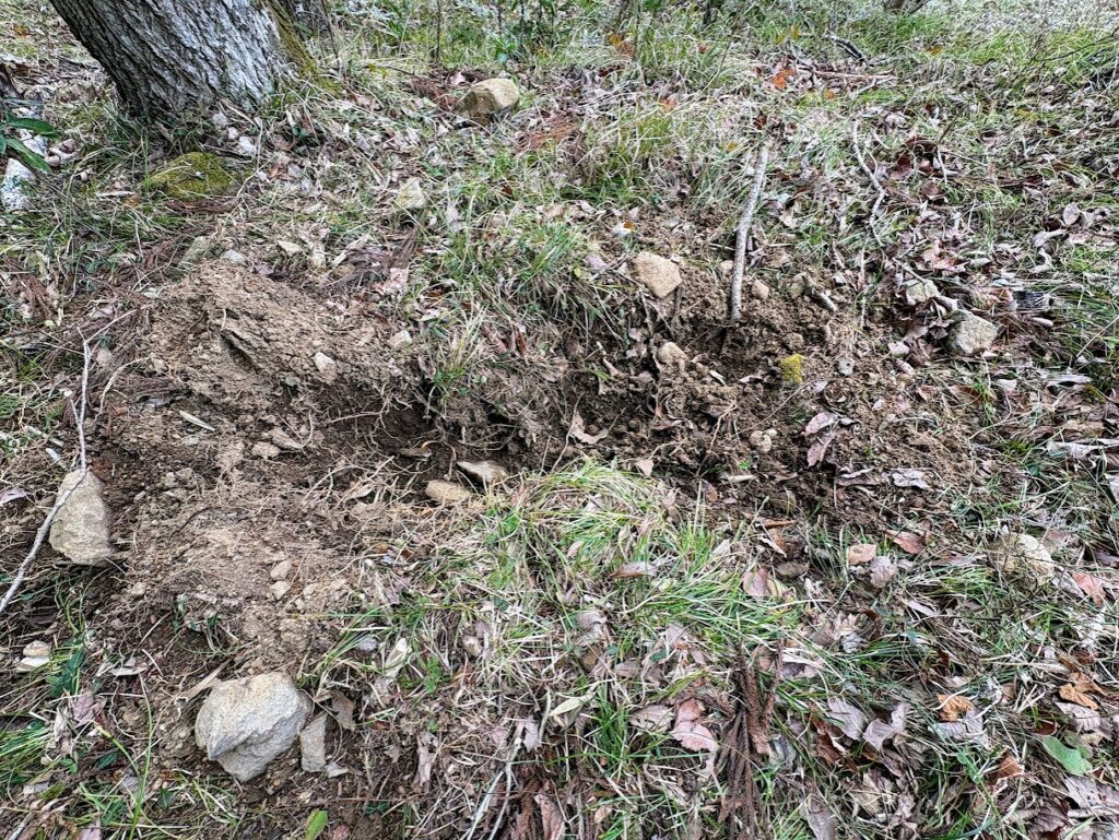 IMG_6376-1024x769 地上の星