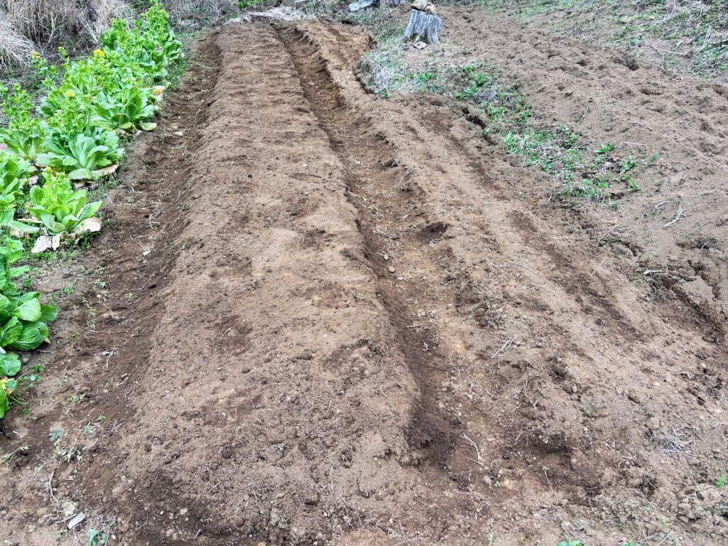 IMG_6411-1024x768 よもぎ餅