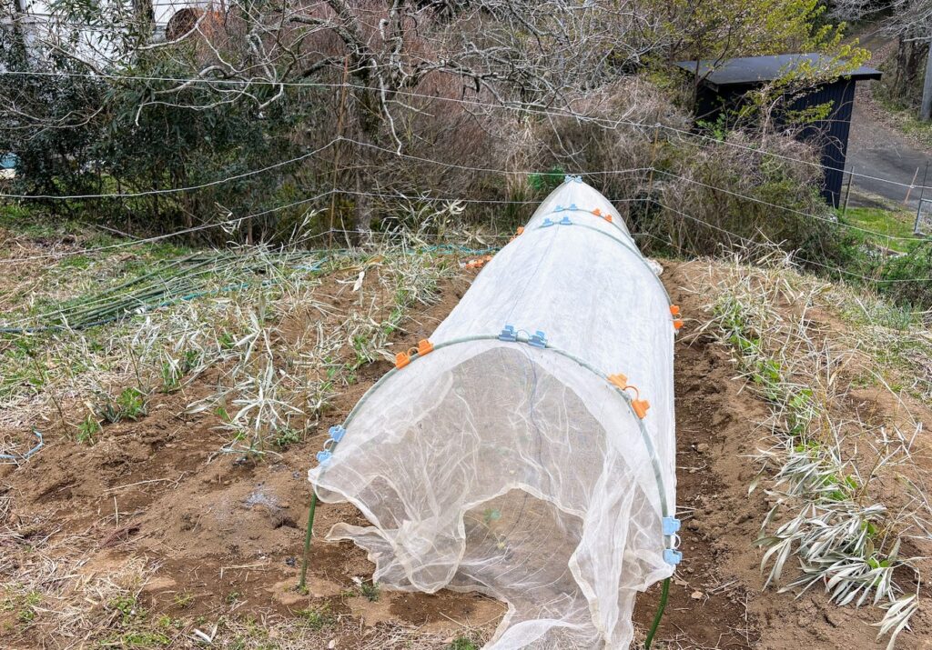 IMG_6414-1024x715 よもぎ餅