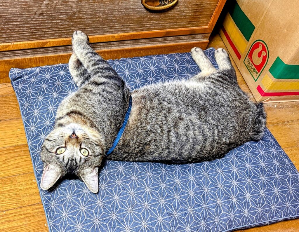 IMG_6422-EDIT-EDIT-1024x795 よもぎ餅