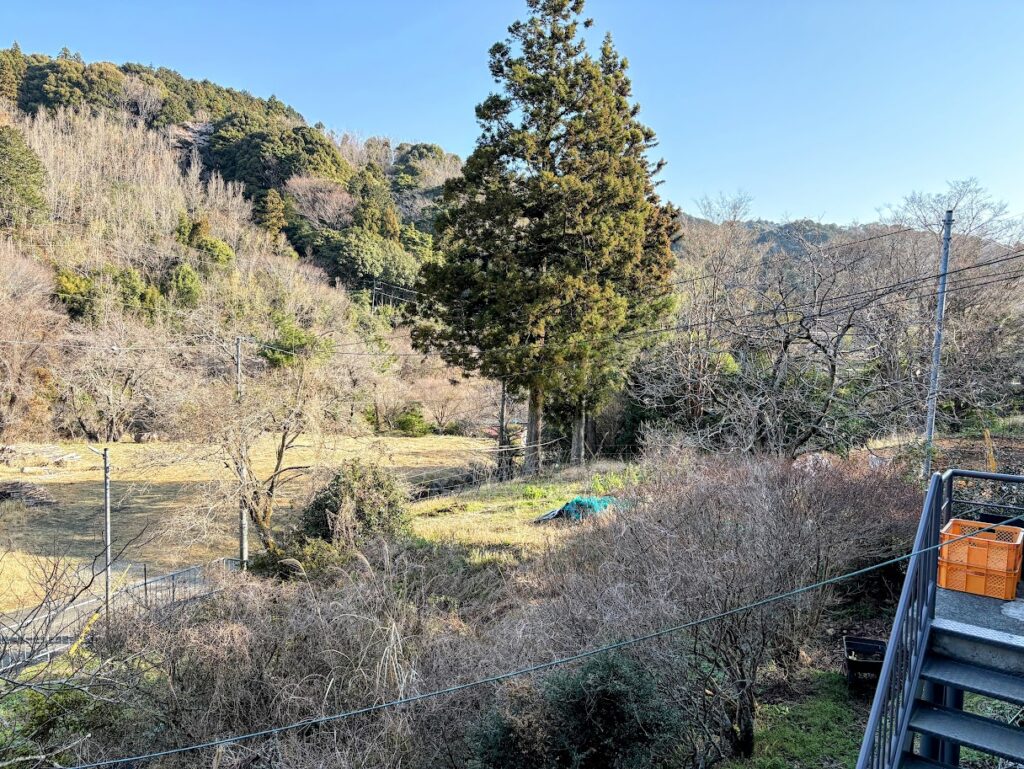 IMG_6452-EDIT-1024x769 春が来た