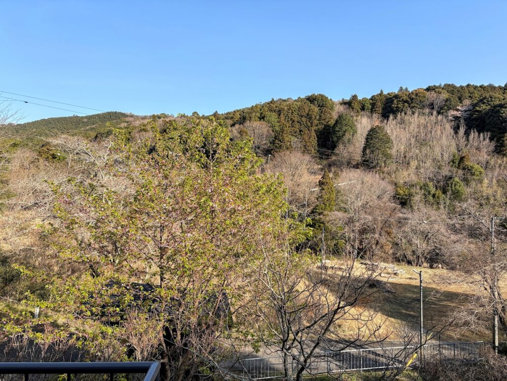 IMG_6453-EDIT-1024x769 春が来た