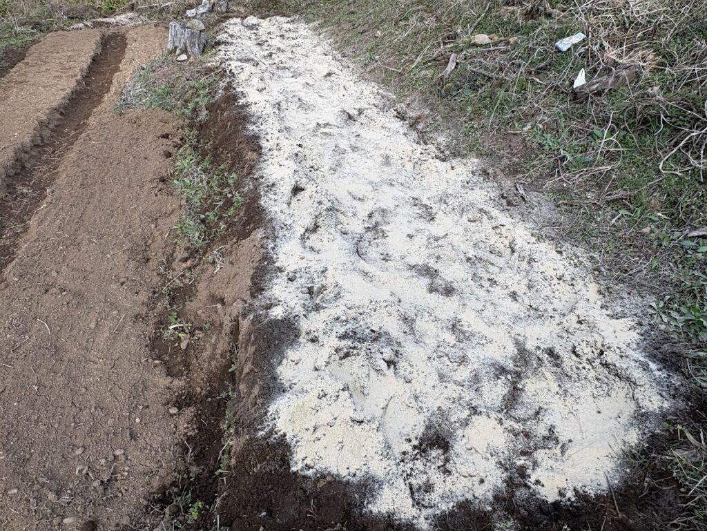 IMG_6474-1024x769 春が来た