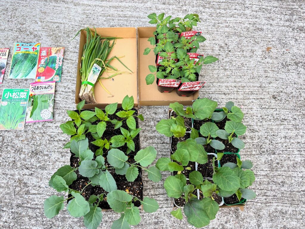 IMG_6494-1024x769 春が来た