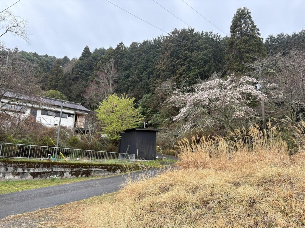 IMG_6560-1024x768 各種夏野菜の種植え