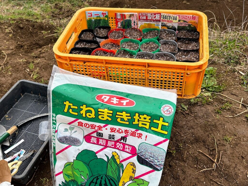 IMG_6565-1024x768 各種夏野菜の種植え