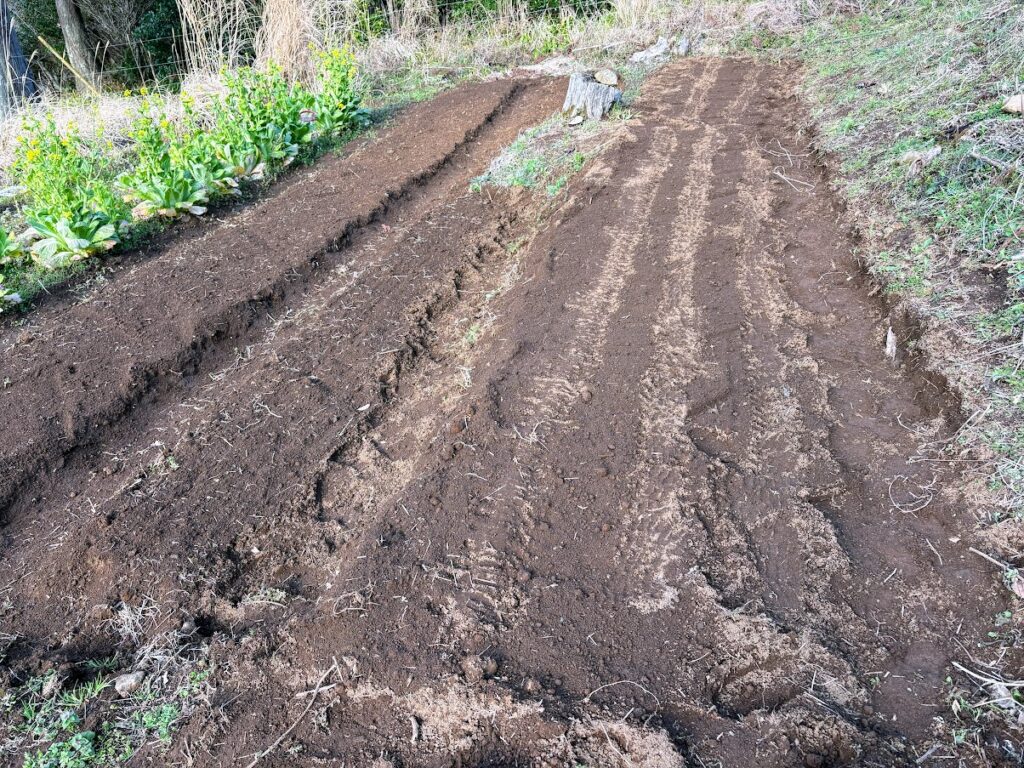 IMG_6570-1024x768 各種夏野菜の種植え