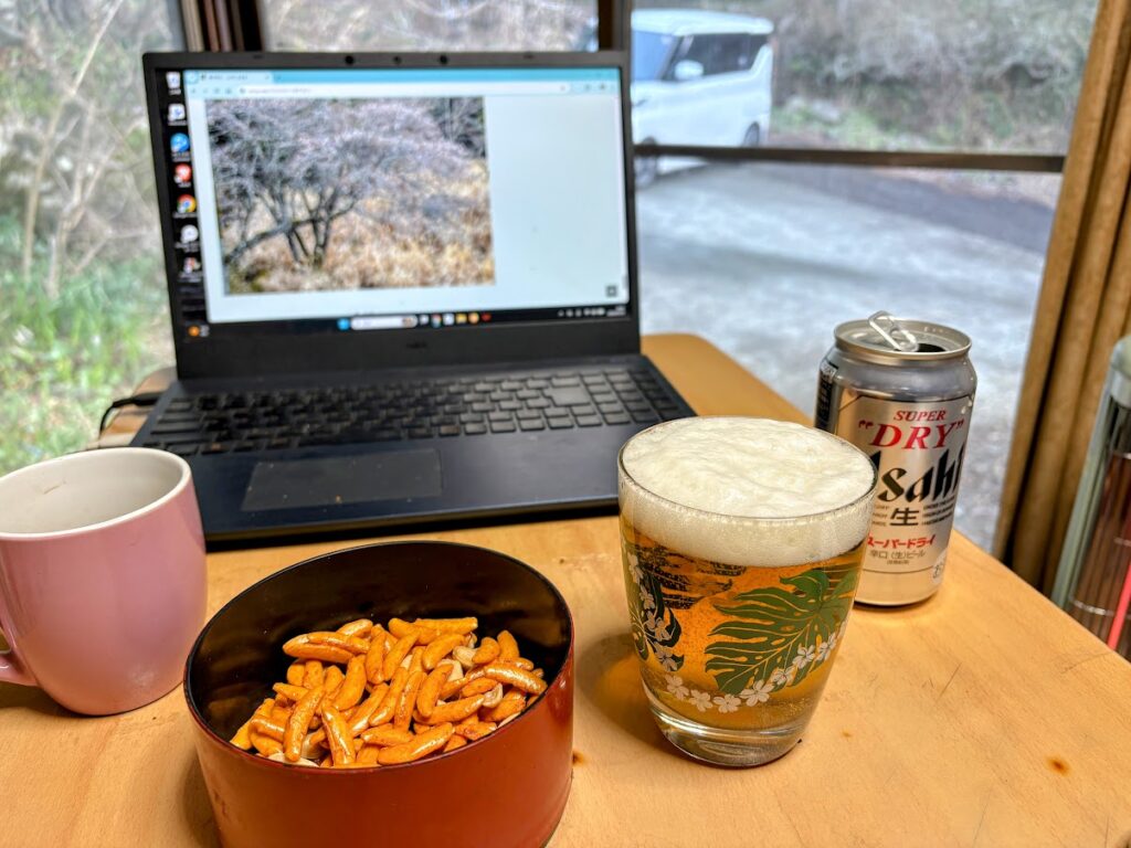 IMG_6575-EDIT-1024x768 各種夏野菜の種植え