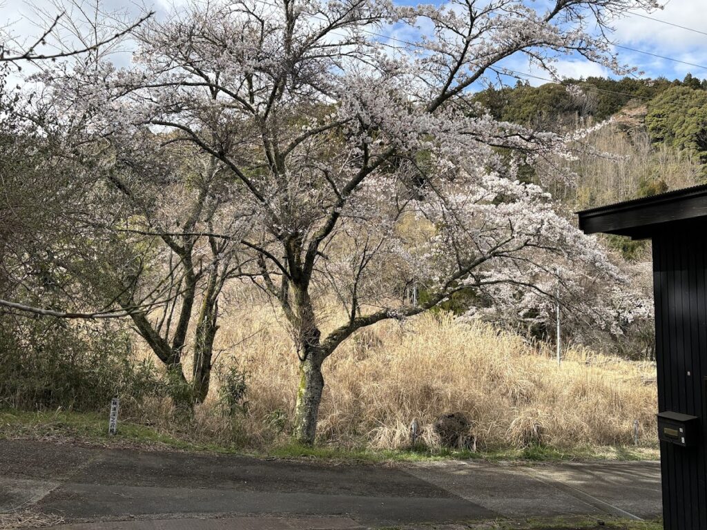 IMG_6602-1024x768 本日、太郎と共に無事、修善寺ベースへ帰ってきました。