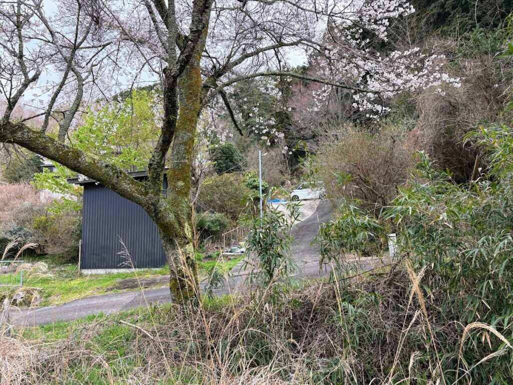 IMG_6615-1024x768 本日、太郎と共に無事、修善寺ベースへ帰ってきました。