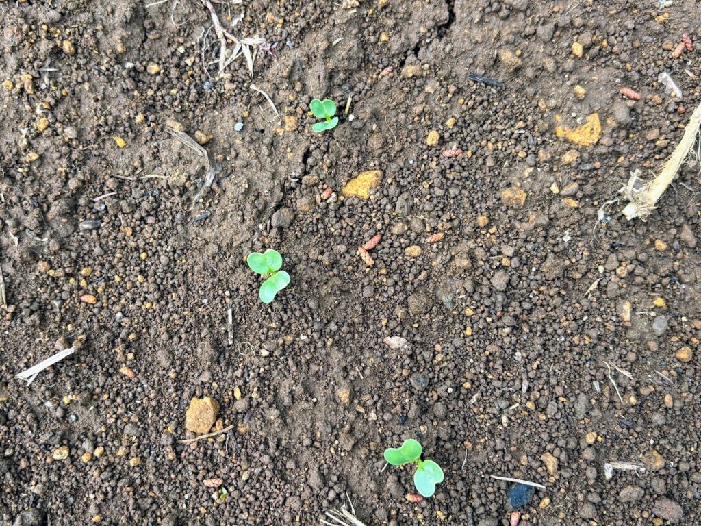 IMG_6637-1024x768 本日、太郎と共に無事、修善寺ベースへ帰ってきました。