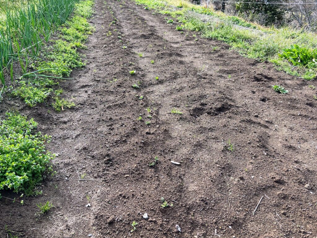 IMG_6651-1-1024x768 本日、太郎と共に無事、修善寺ベースへ帰ってきました。