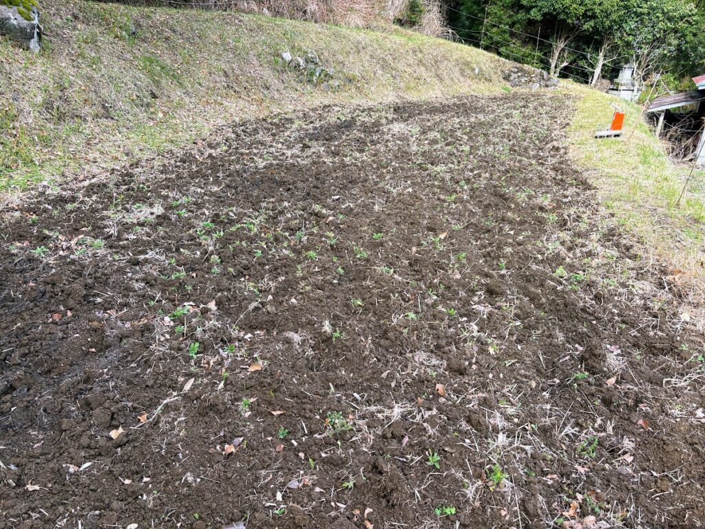 IMG_6661-1024x768 本日、太郎と共に無事、修善寺ベースへ帰ってきました。