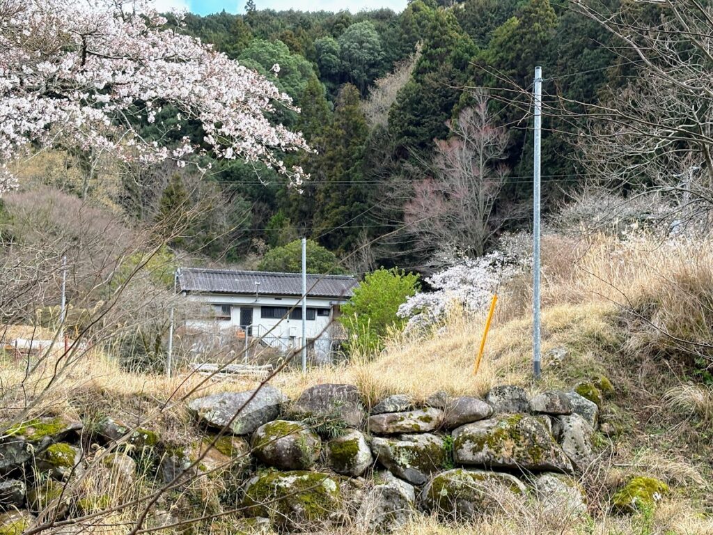 IMG_6666-1-1024x768 本日、太郎と共に無事、修善寺ベースへ帰ってきました。