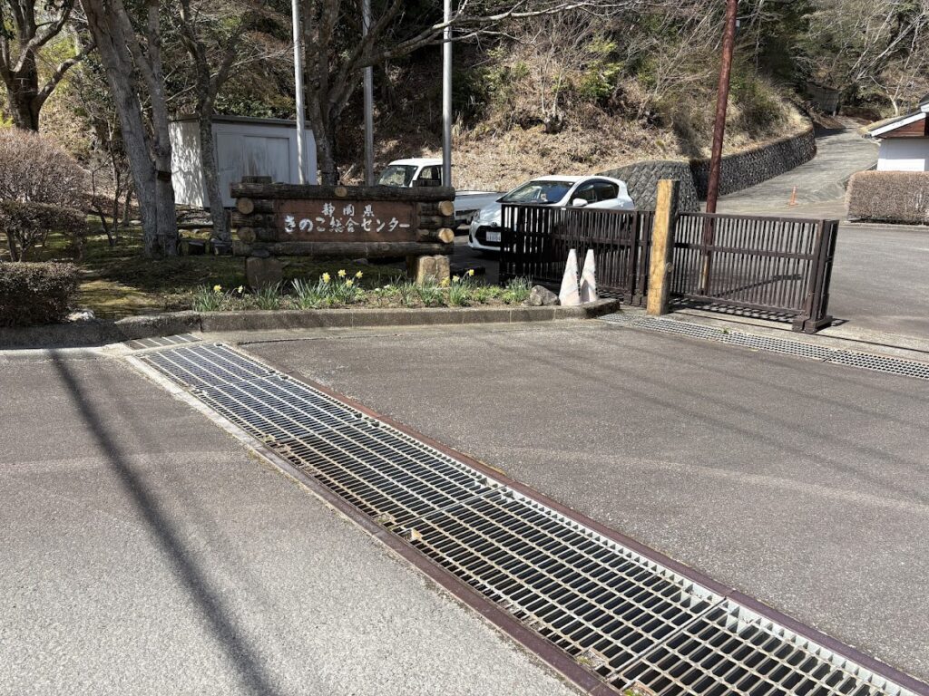 IMG_6726-1024x768 桜見物