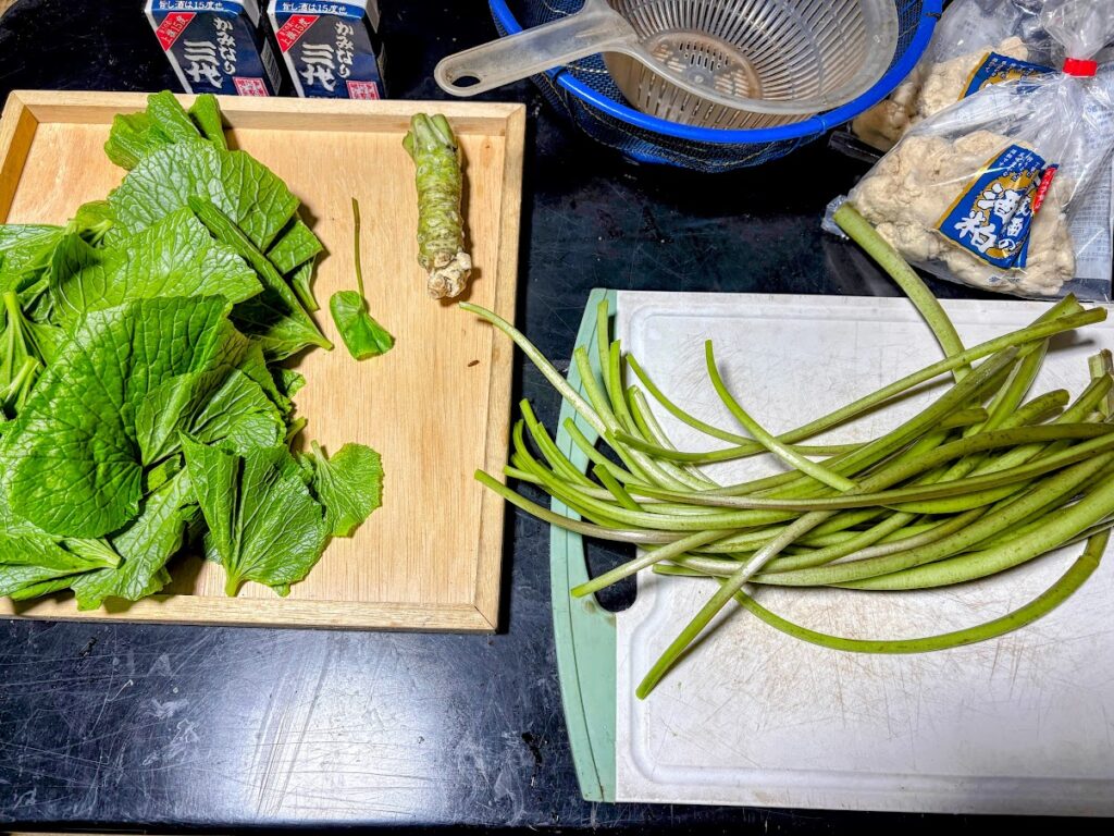 IMG_6742-EDIT-EDIT-1024x768 桜見物