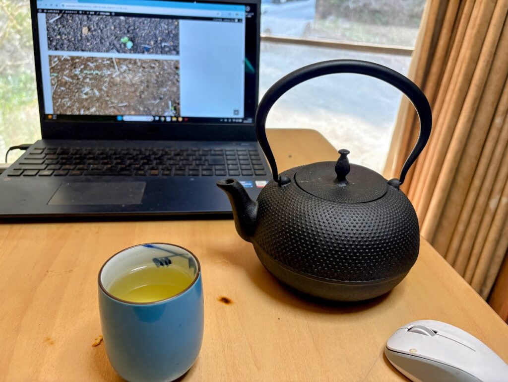 IMG_6750-EDIT-1024x769 毎日、花見です。