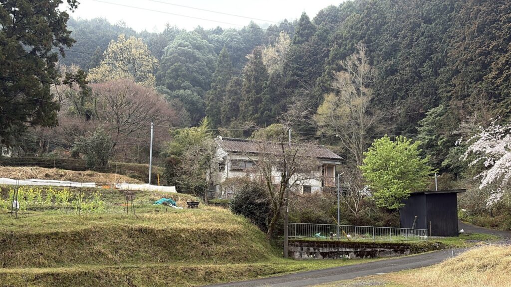 IMG_6776-1024x576 雨に打たれ桜散る