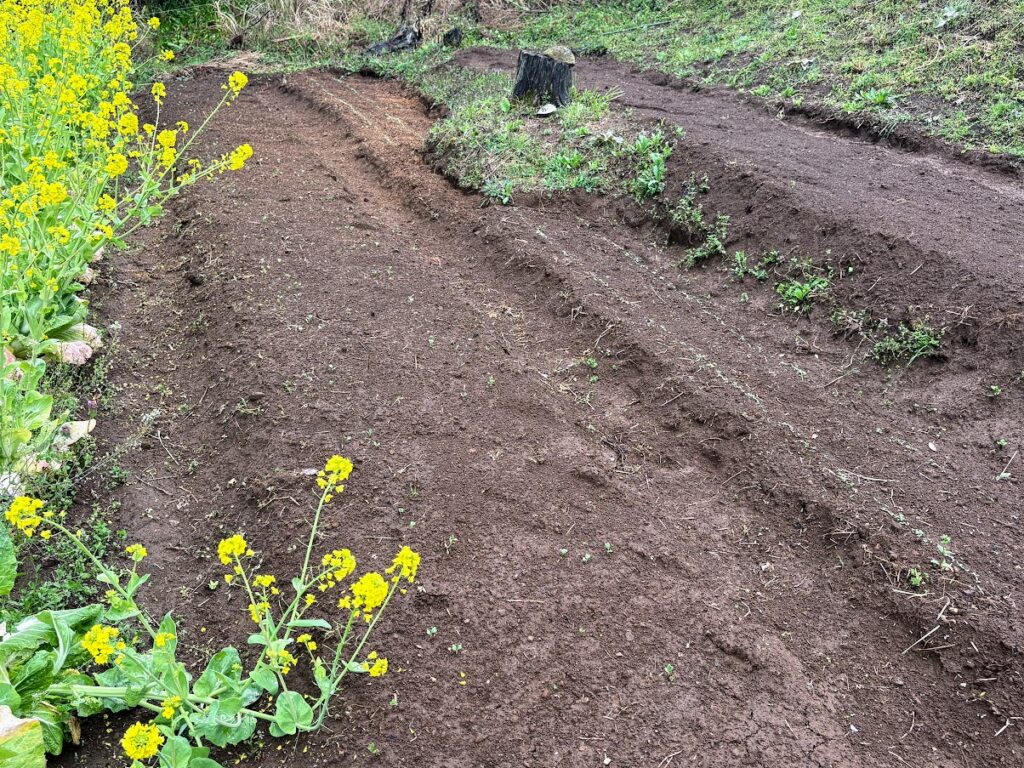 IMG_6780-1024x768 雨に打たれ桜散る