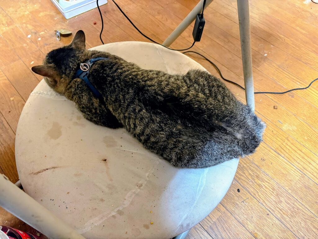 IMG_6833-EDIT-1024x768 今日も朝から激しい雨風