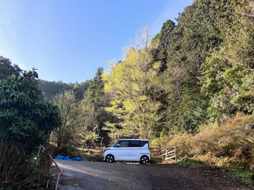 IMG_6846-1-1024x768 もう、４月だね