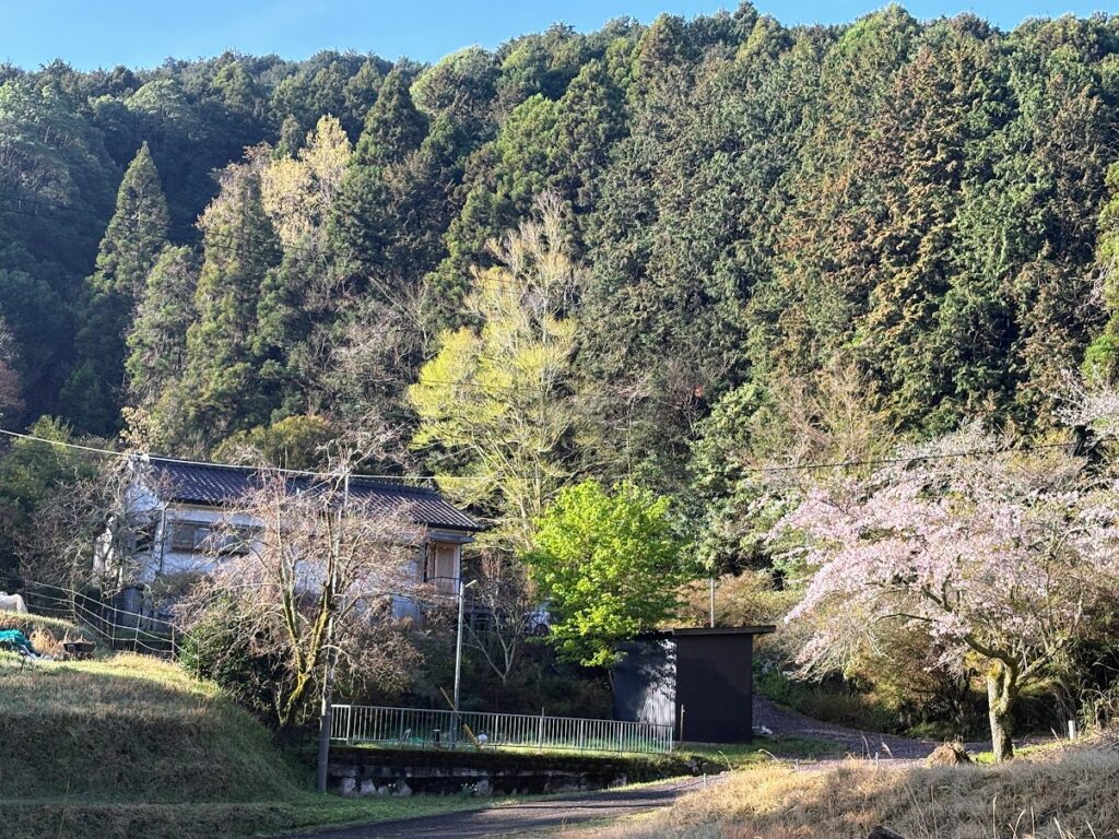 IMG_6854-1024x768 もう、４月だね