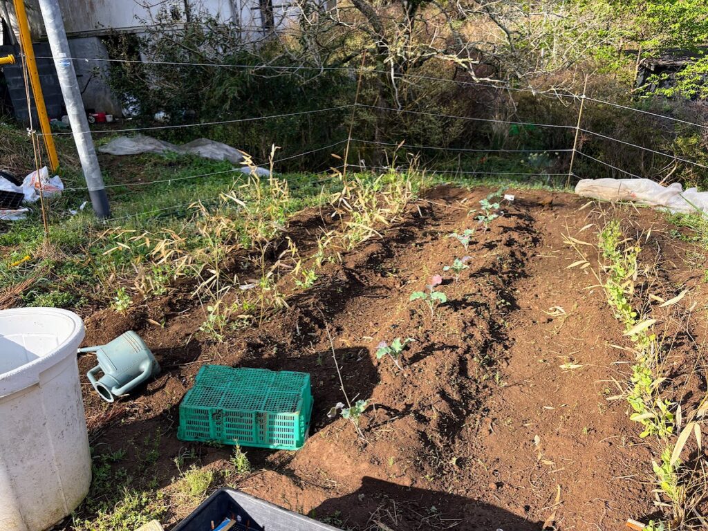 IMG_6875-1024x768 もう、４月だね