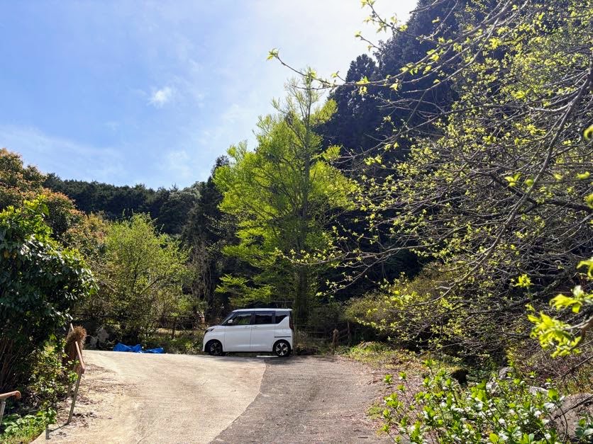 IMG_6980 あらたふと青葉若葉の日の光（芭蕉）