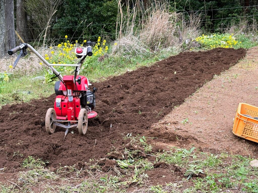 IMG_6990-1024x768 あらたふと青葉若葉の日の光（芭蕉）