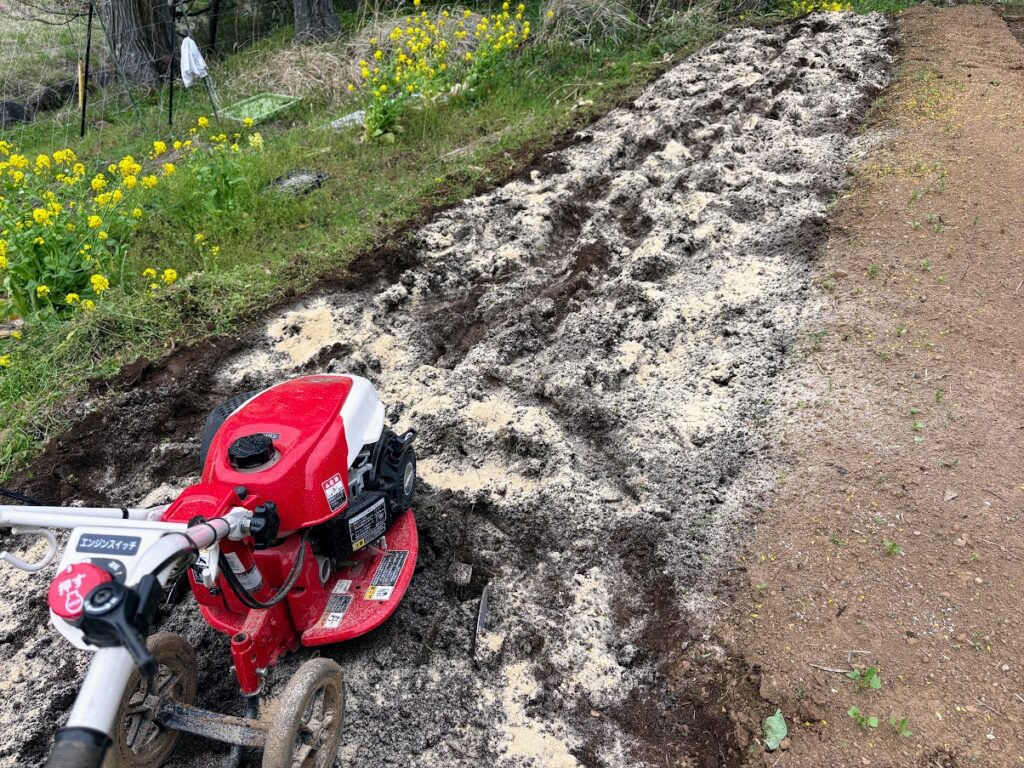 IMG_6994-1024x768 あらたふと青葉若葉の日の光（芭蕉）