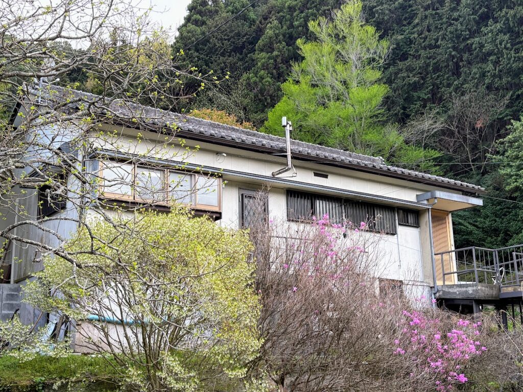 IMG_6999-1024x768 あらたふと青葉若葉の日の光（芭蕉）