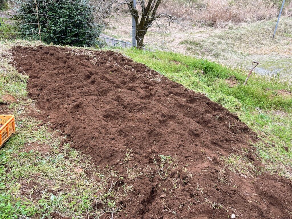 IMG_7001-1024x768 あらたふと青葉若葉の日の光（芭蕉）