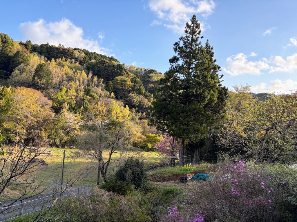 IMG_7060-1024x768 マスターズ開幕