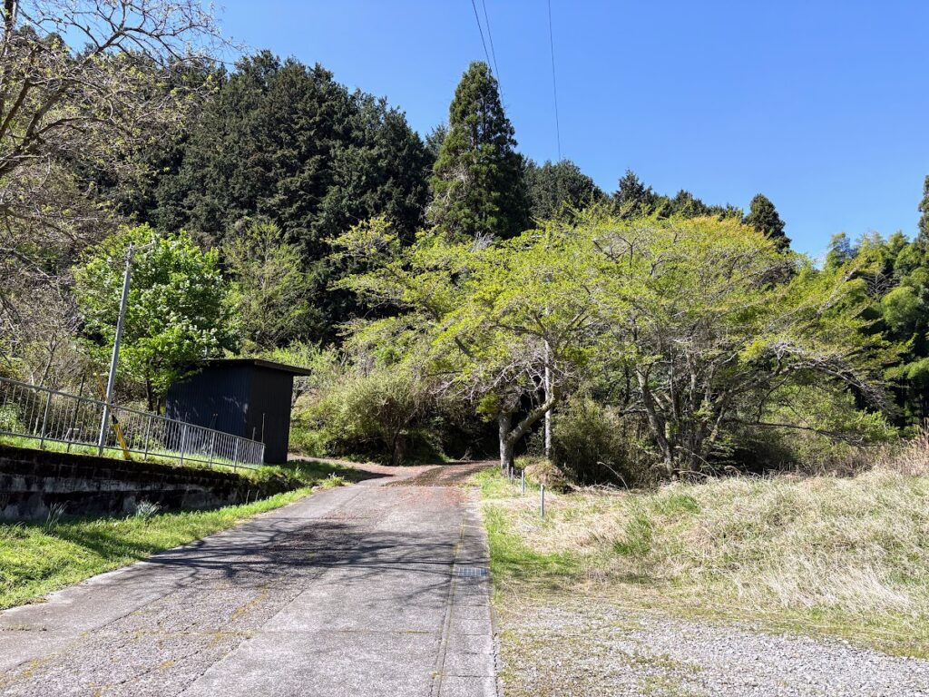 IMG_7084-1024x768 健康食材