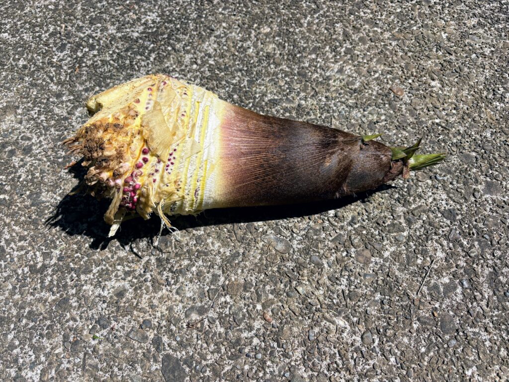 IMG_7086-1024x768 健康食材