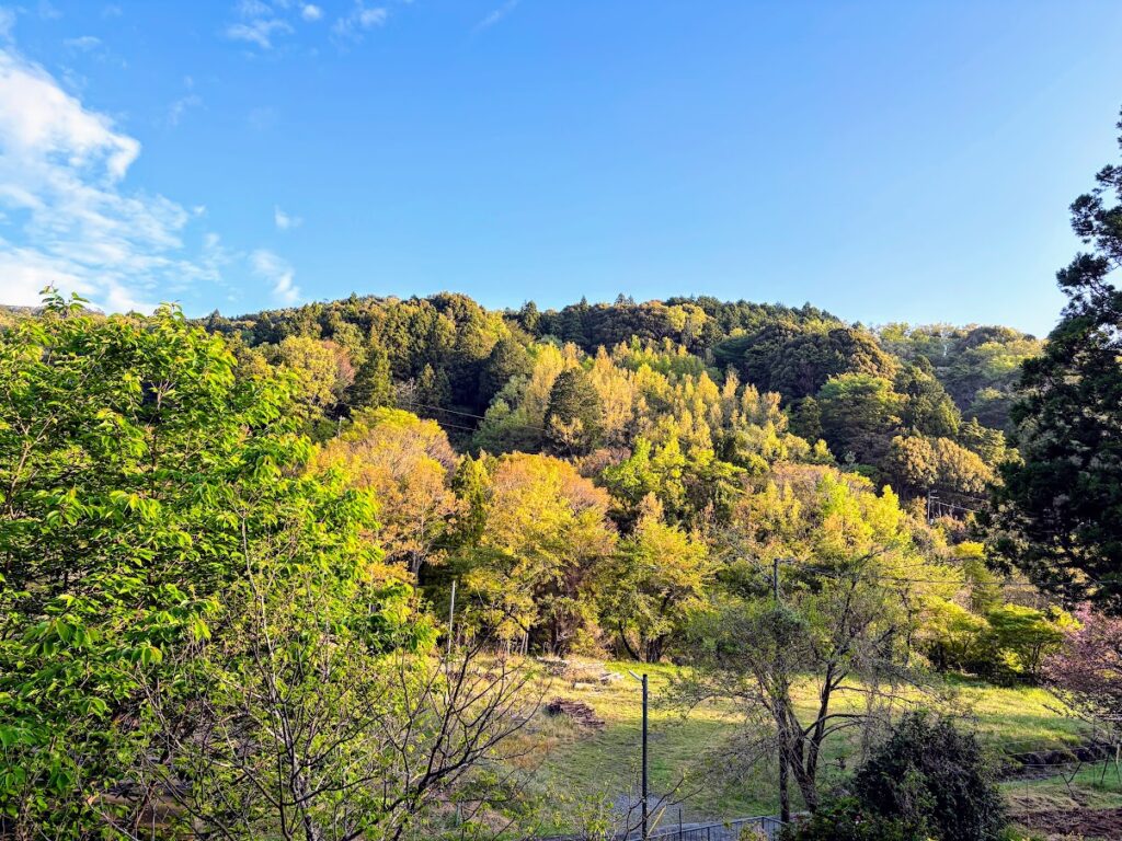 IMG_7128-EDIT-1024x768 村のゴルフコンペ