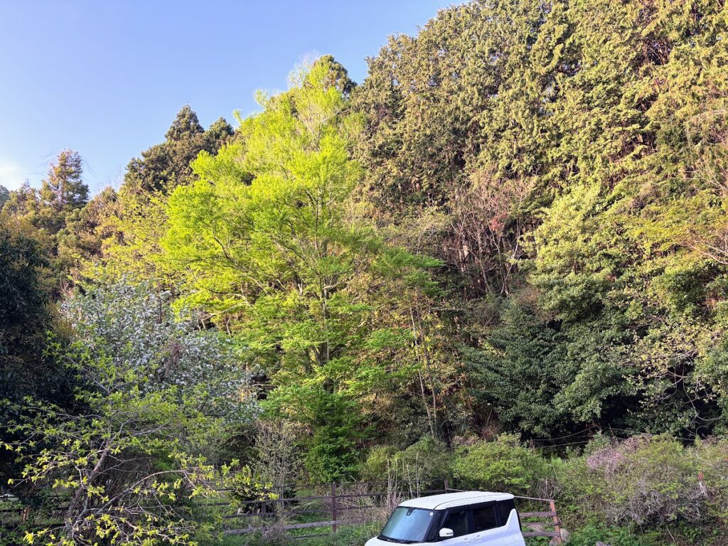 IMG_7129-1024x768 村のゴルフコンペ