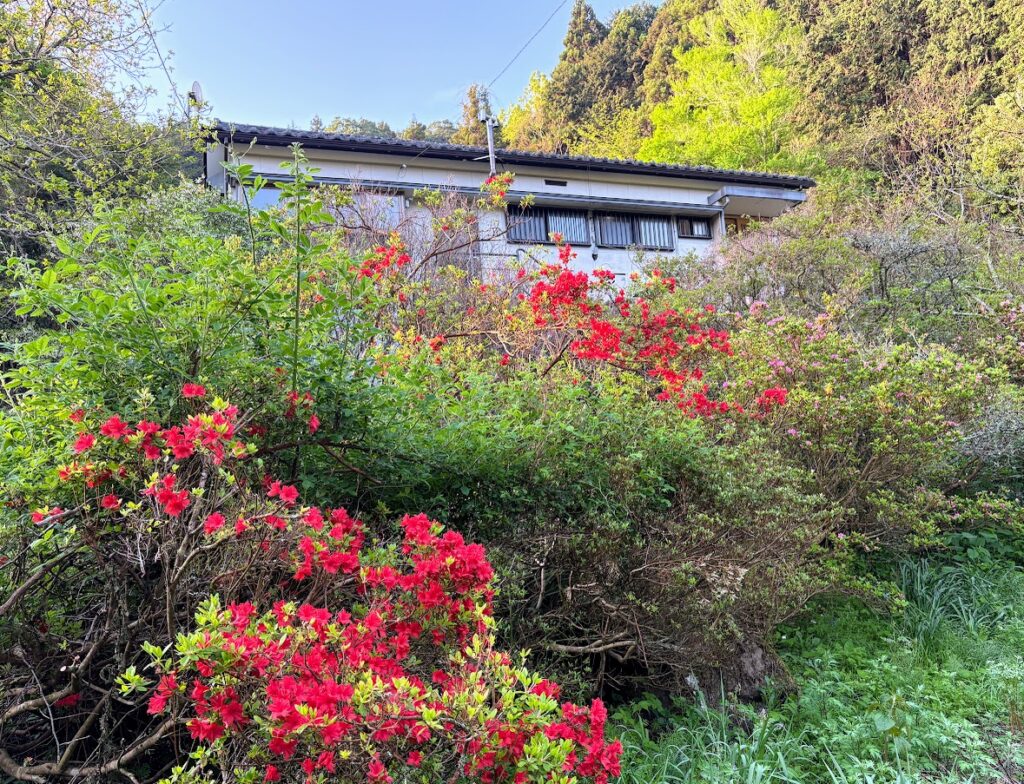 IMG_7131-1024x784 村のゴルフコンペ